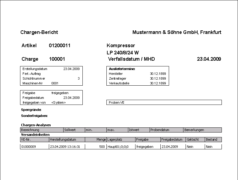  Muster Chargenbericht