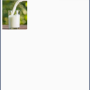 artikelinfos4.png